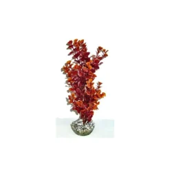 Ledwiga bordeaux-marron en plastique grand modèle 24 cm