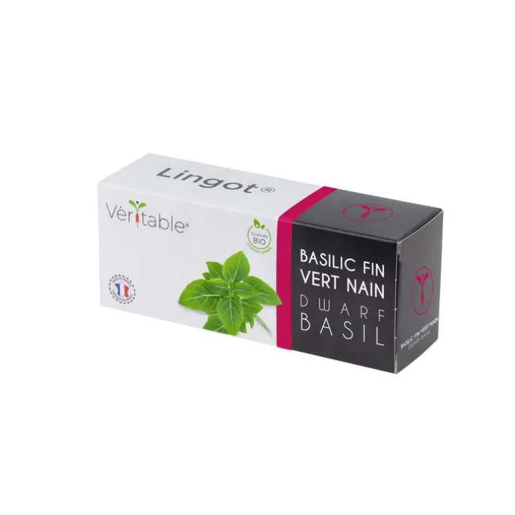Lingot Basilic fin vert nain bio