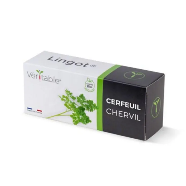 Lingot Cerfeuil bio pour potager Véritable