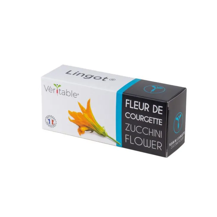 Lingot Fleurs de Courgette Bio