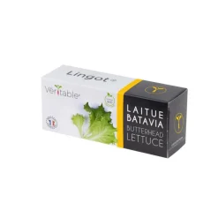 Lingot Laitue Batavia Bio