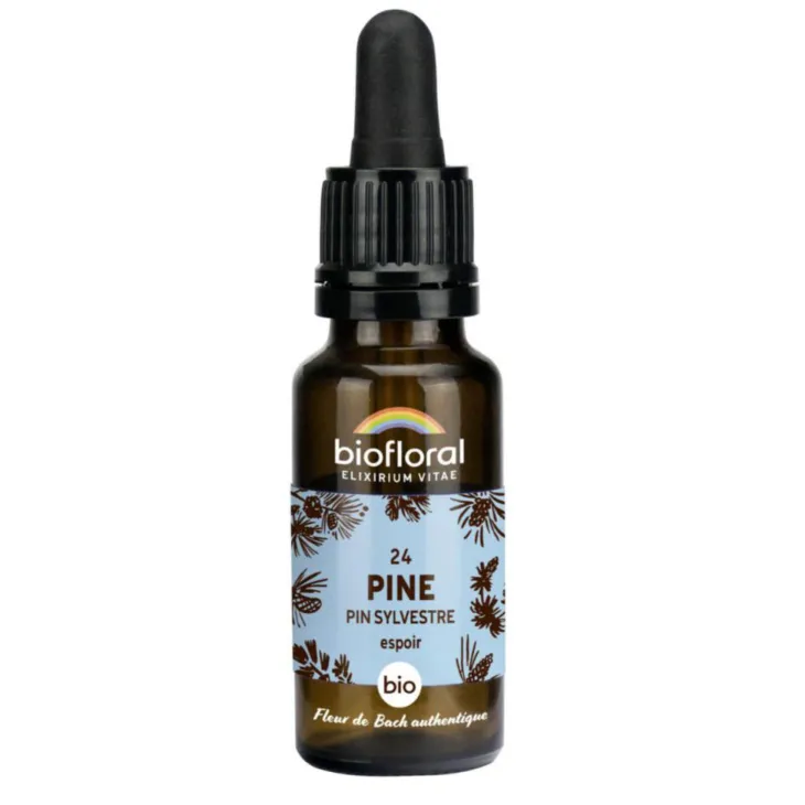 Élixir n°24 Biofloral de pin sylvestre en flacon de 20 ml