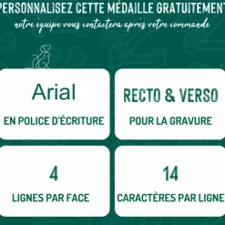 Médaille basic grand cercle pour chien en laiton doré