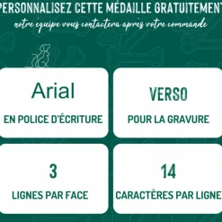 Médaille colors pour teckel à poils durs noir et feu en métal