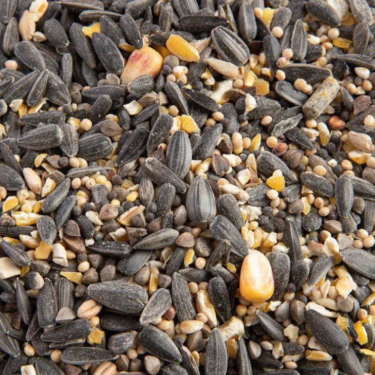 Mélange de graines bio pour oiseaux Grain de vie - 5kg
