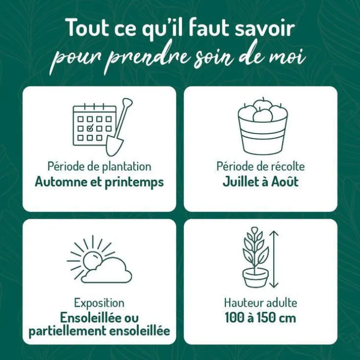 Myrtille Brigitta Blue Bio. Le pot de 2 litres