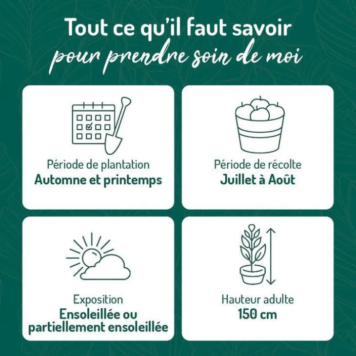 Myrtille Elisabeth Bio. Le pot de 2 litres