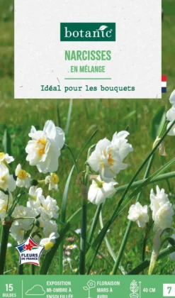 Narcisse en mélange botanic® - 15 bulbes