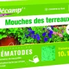 Nématodes contre mouches des terreaux 2 millions
