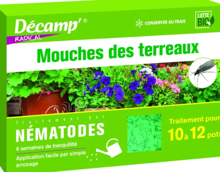 Nématodes contre mouches des terreaux 2 millions