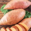 Patate Douce Bonita. Le pot de 10,5 cm