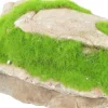 Pierre grise avec plante aquatique pour aquarium Zolux grey stone « ki pousse » M