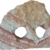 Pierre naturelle pour aquarium coloris multicolore Tyrol 2 trous Rainbow