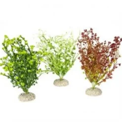 Plante artificielle Bacopa Set M coloris variés - AQUA DELLA - 25cm