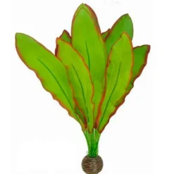 Plante artificielle d'aquarium Aponogeton, résistante, SUPERFISH