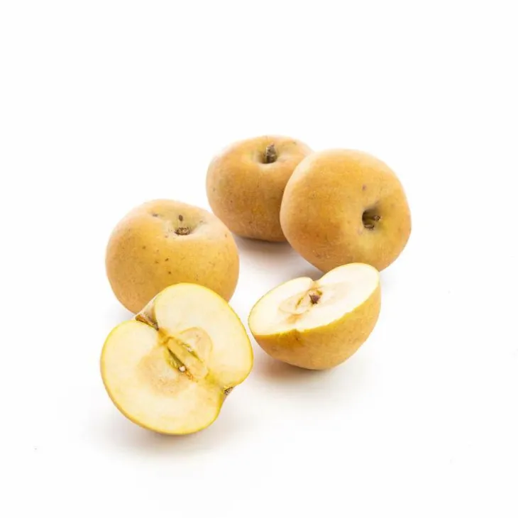 Pomme Patte de Loup de France - Prix au kg
