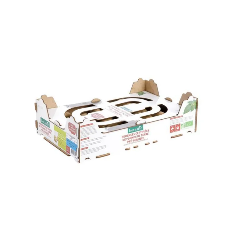 Pommes de terre Charlotte bio calibre 0001, 60 plants