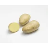 Pommes de terre Monalisa bio calibre 0001, 100 plants