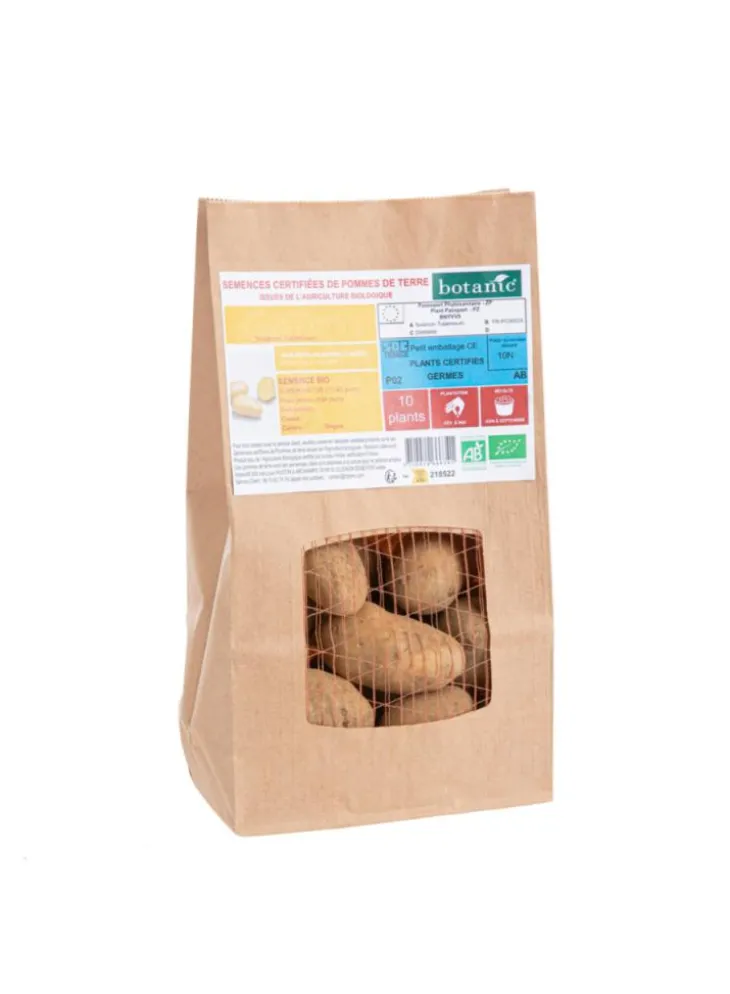 Pommes de terre Otolia bio botanic® - 10 plants