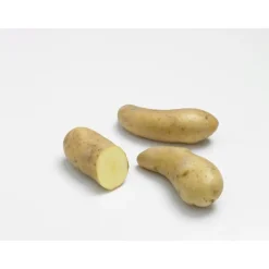 Pommes de terre Ratte calibre 25/32, 25 plants