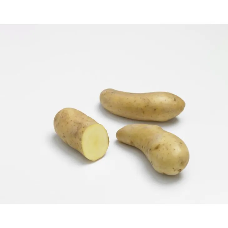 Pommes de terre Ratte calibre 25/32, 25 plants