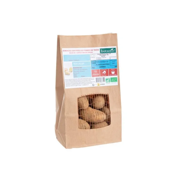 Pommes de terre Rosabelle bio calibre 0001, 10 plants