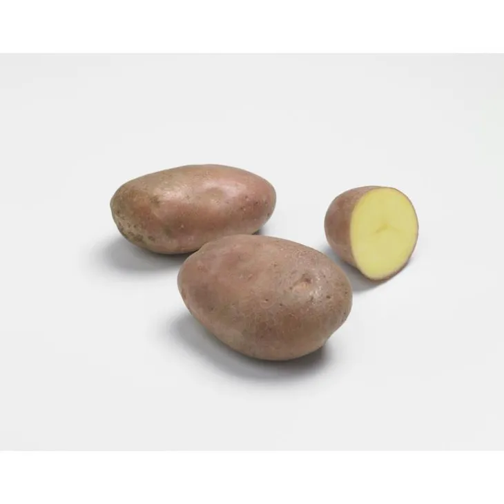Pommes de terre Rosabelle Bio calibre 0001, 60 plants