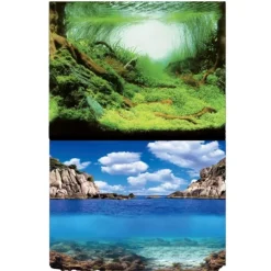 Poster aquascaping océan, face plantes - AQUA NOVA modèle S - 60x30 cm