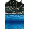 Poster 2-en-1 racine/fond marins AQUA NOVA - modèle Roots/Water L - 100x50 cm