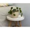 Pot coloris beige en terre émaillée Austral - Ø 16 cm