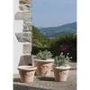 Pot Cuvier raisin naturel H 28 x Ø 37 cm