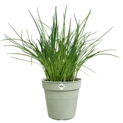 Pot de culture en polypropylène vert pierre Elho Green basics - Ø 40 x H 37 cm