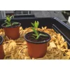 Pot de germination coloris orange Ø 13 cm