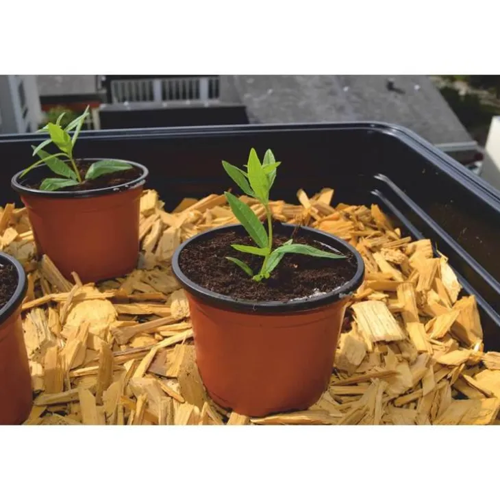 Pot de germination coloris orange Ø 13 cm