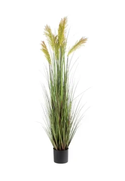 Pot de graminée épis coloris vert - 205 x 22 x 20 cm