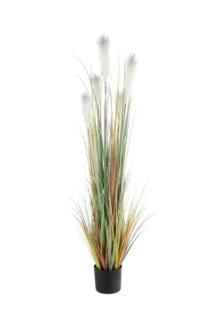 Pot de roseaux blancs coloris vert - 145 x 32 x 15 cm