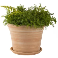 Pot gamme Cocio bordo Ø 42 cm