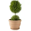 Pot gamme Coco Ø 26 cm