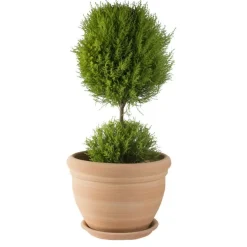 Pot gamme Coco Ø 26 cm