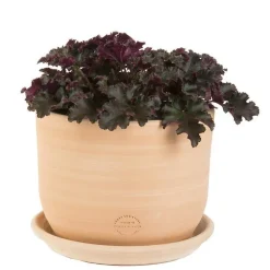 Pot gamme macetero Ø 31 cm