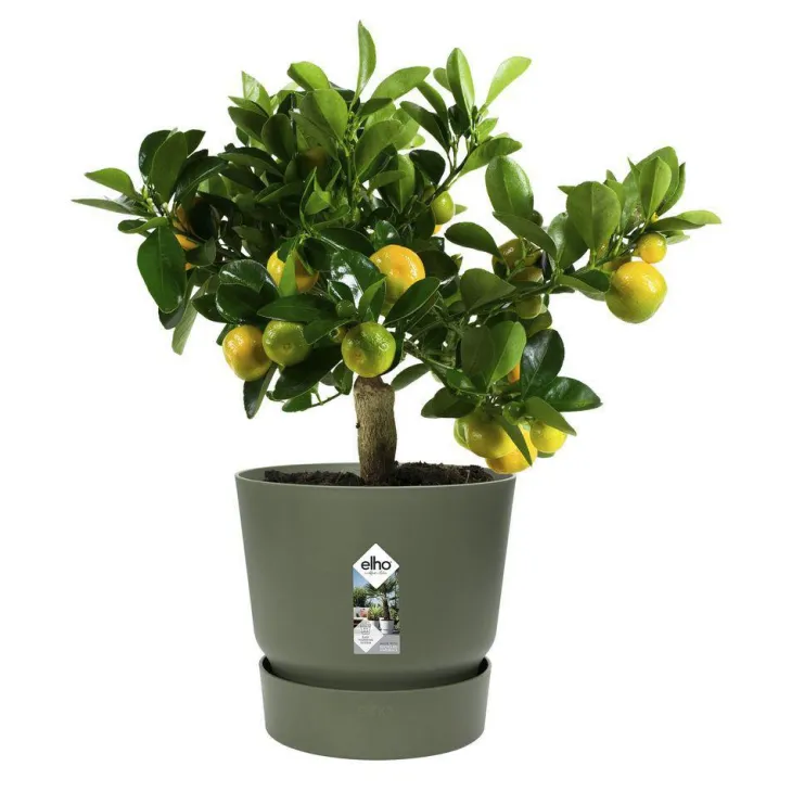Pot Greenville rond de 13 L coloris vert Ø 30 x H 28 cm