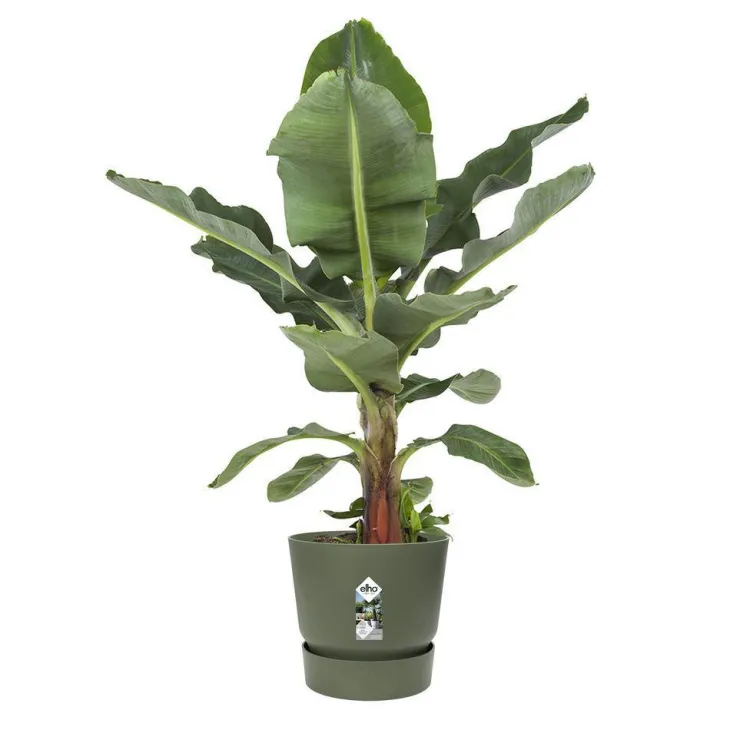 Pot Greenville rond de 13 L coloris vert Ø 30 x H 28 cm