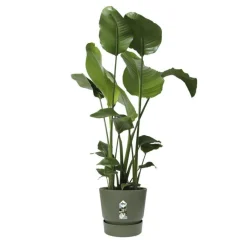 Pot Greenville rond de 13 L coloris vert Ø 30 x H 28 cm