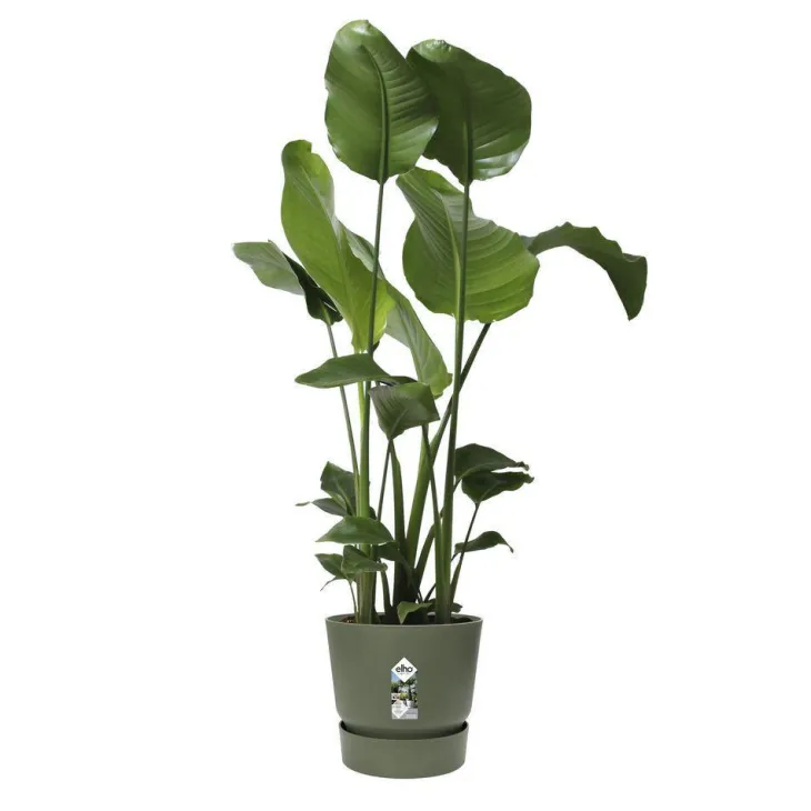Pot Greenville rond de 13 L coloris vert Ø 30 x H 28 cm