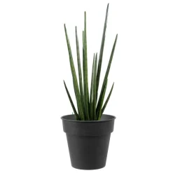 Pot horticole en acier peint anthracite Ø 19 x H 17 cm