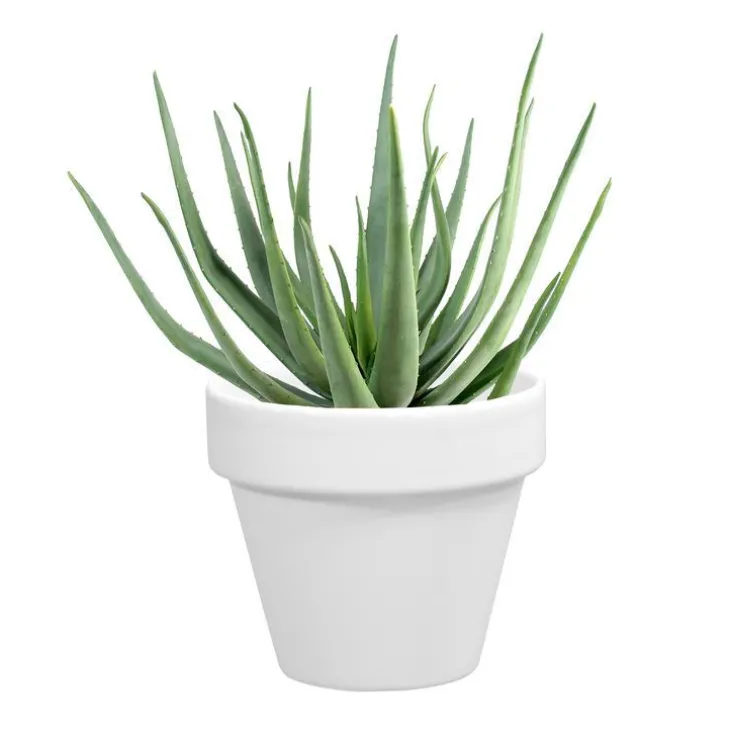 Pot horticole en terre cuite émaillée Blanc - D10 x H8.5