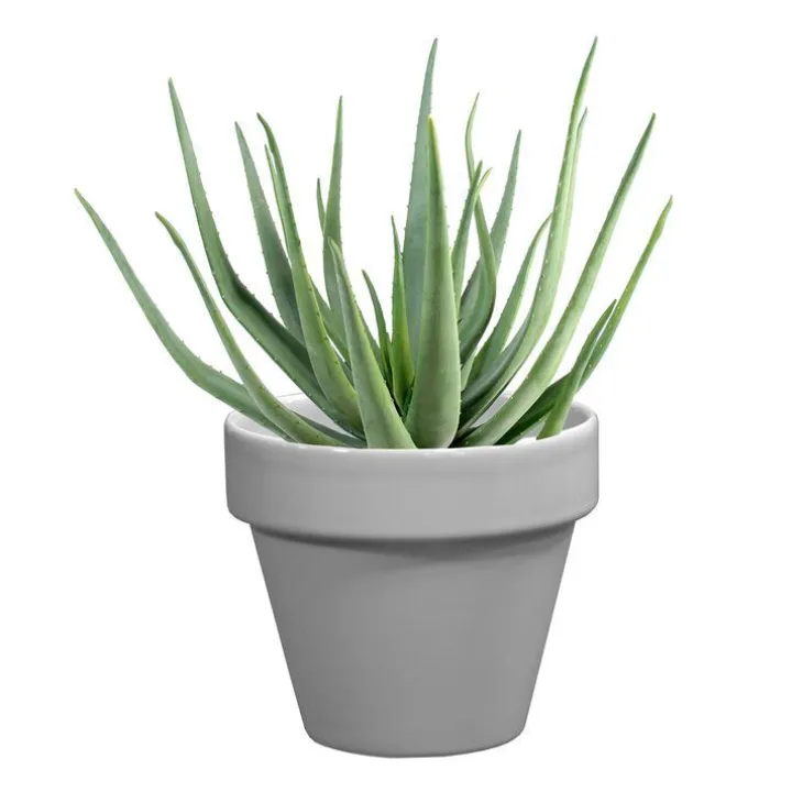 Pot horticole émaillé gris Ø 10 cm
