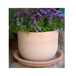 Pot Macetero terre cuite claire D20XH16