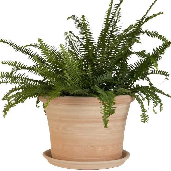 Pot rond Cocio Lisio en terre cuite claire – D30x H22