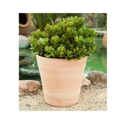 Pot Vaso lisse D27x H27